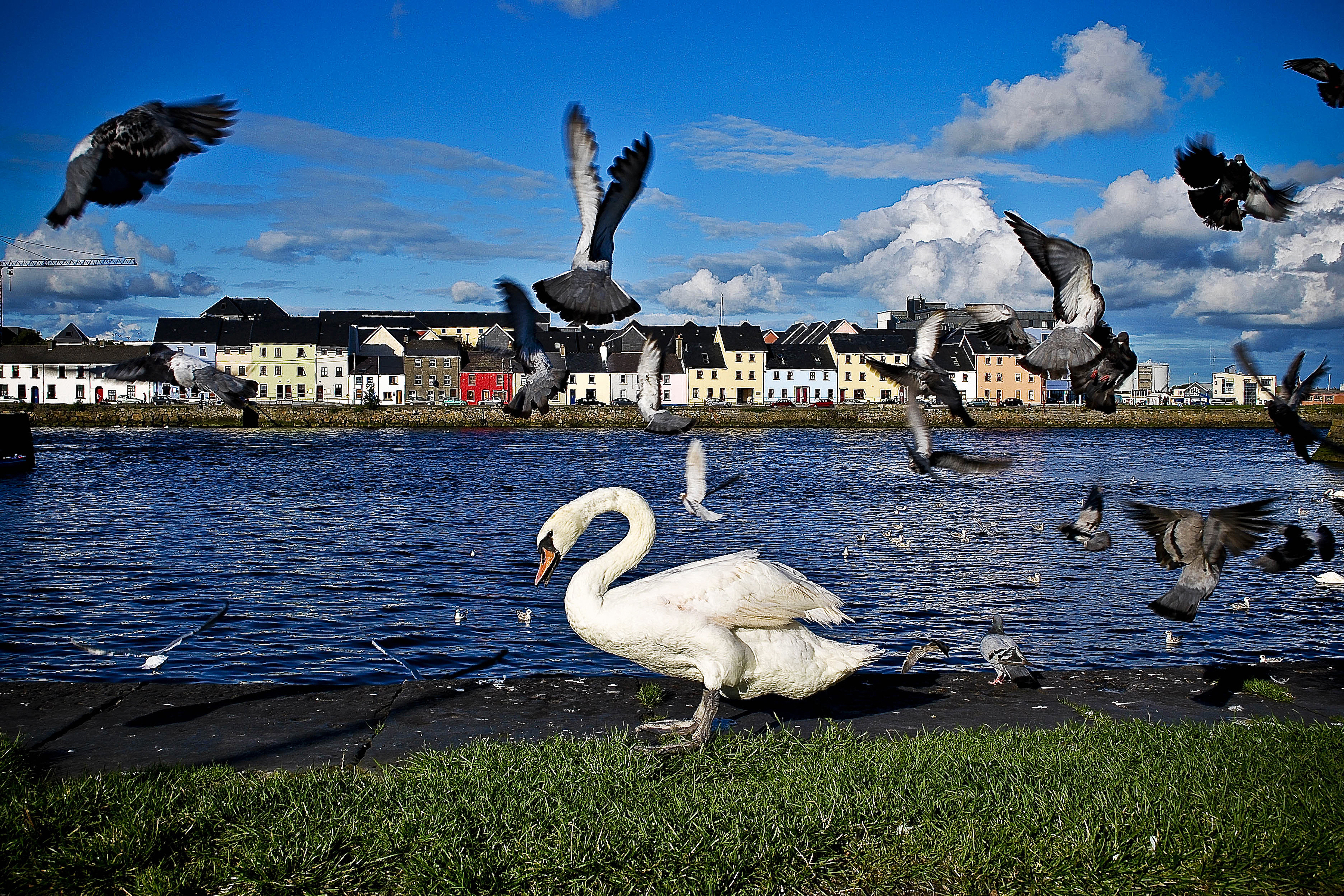 Galway City, Ireland